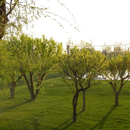 Agriturismo Feliciana Поццоленго Экстерьер фото