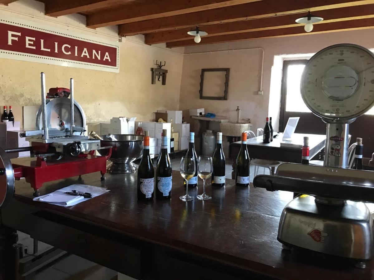 Agriturismo Feliciana Поццоленго Экстерьер фото