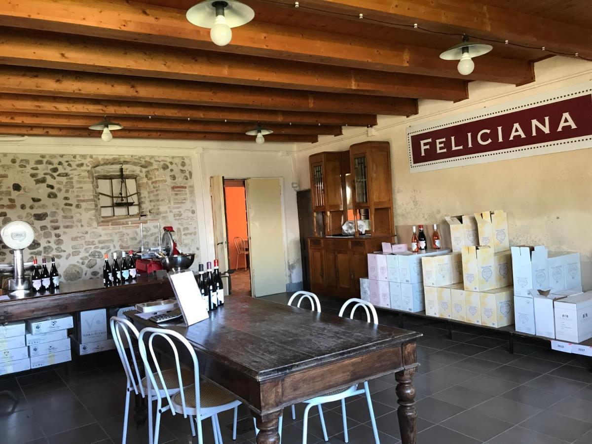 Agriturismo Feliciana Поццоленго Экстерьер фото
