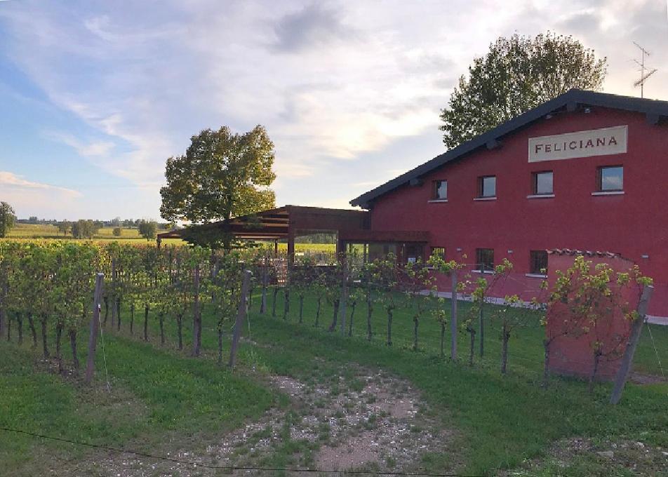 Agriturismo Feliciana Поццоленго Экстерьер фото