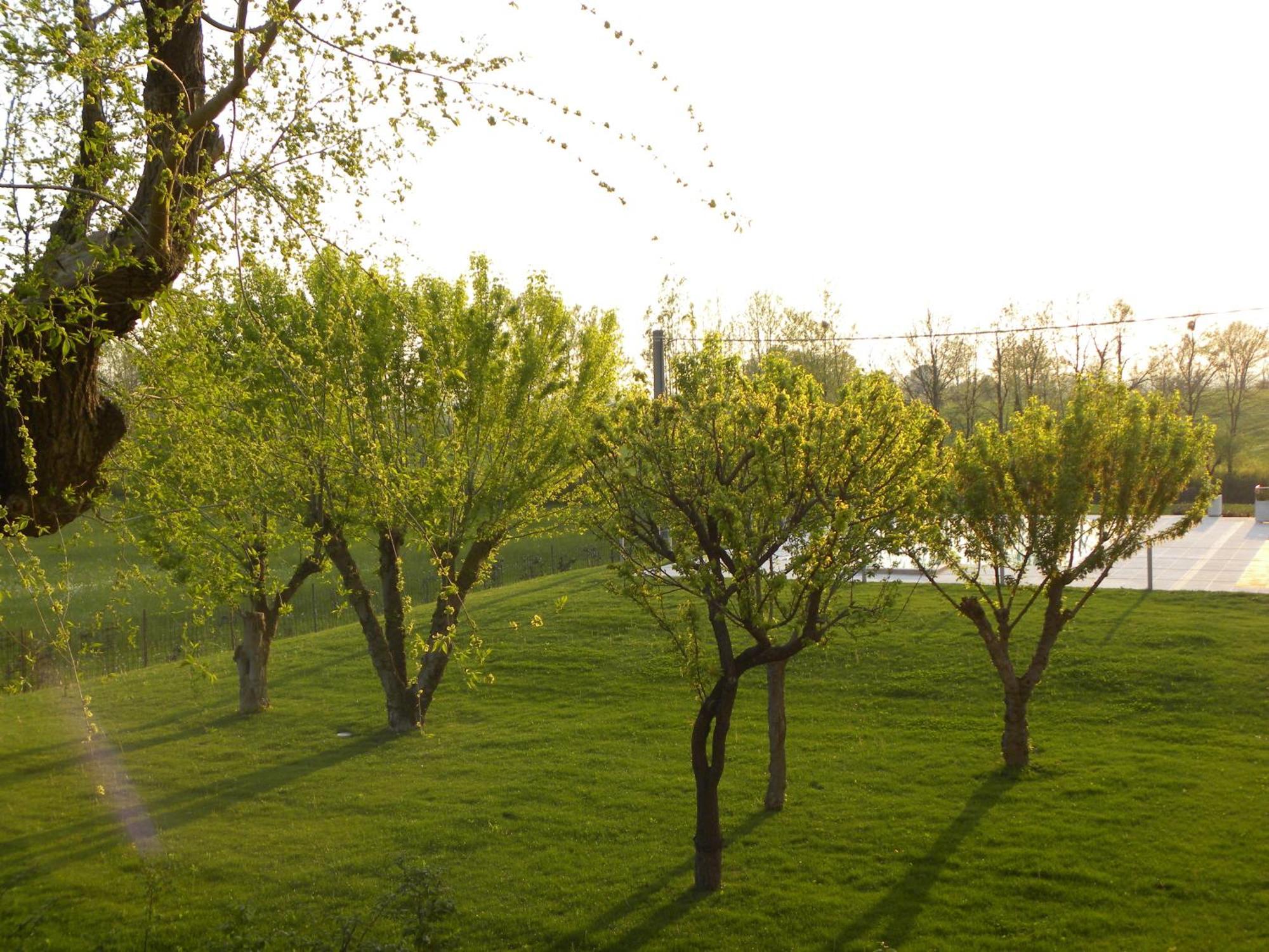 Agriturismo Feliciana Поццоленго Экстерьер фото